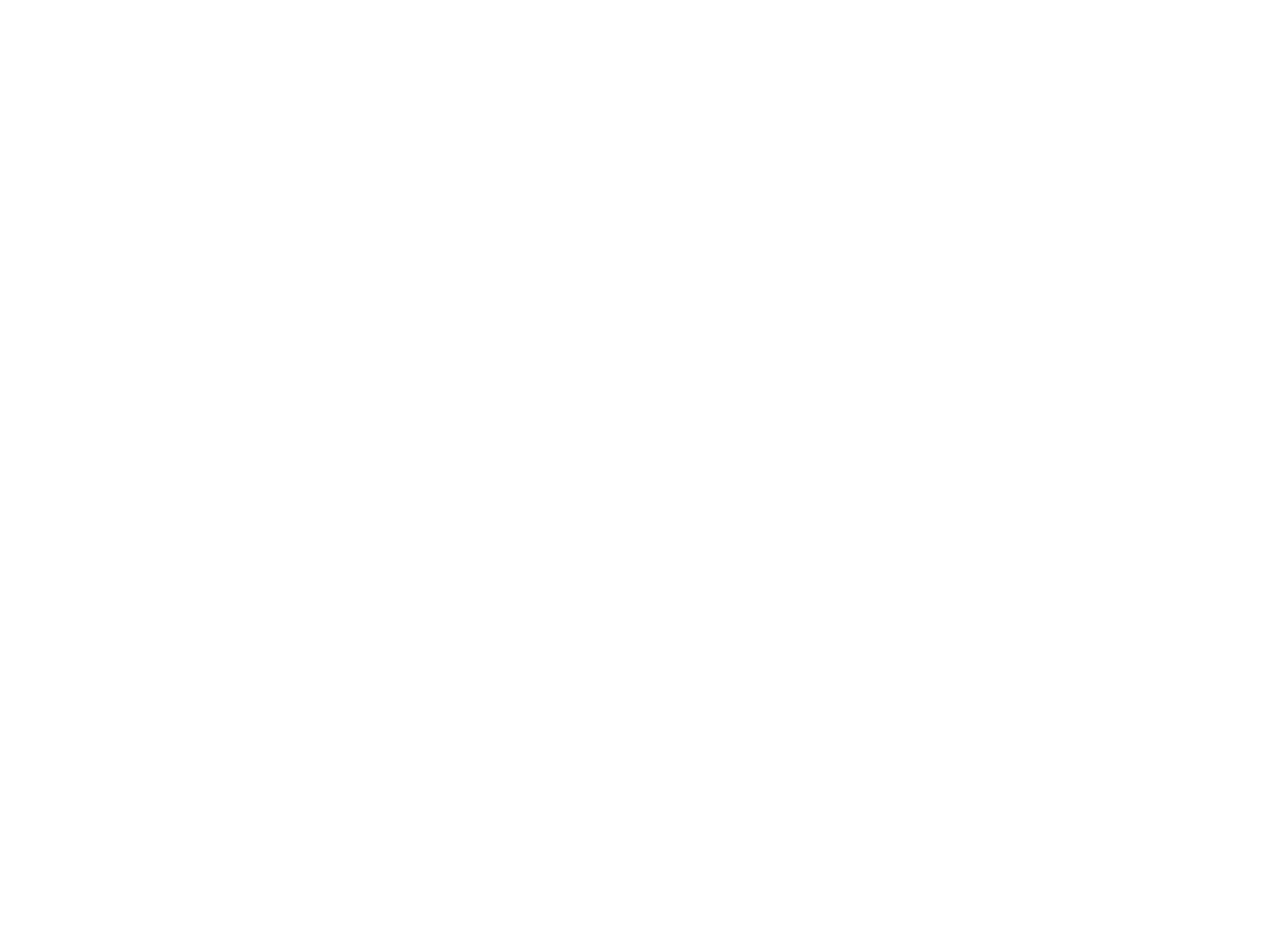 BoostLogo